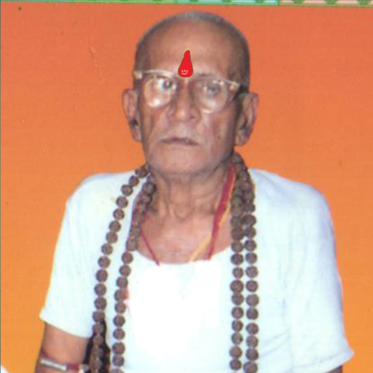 पं. कालू राम शुक्ल जी
